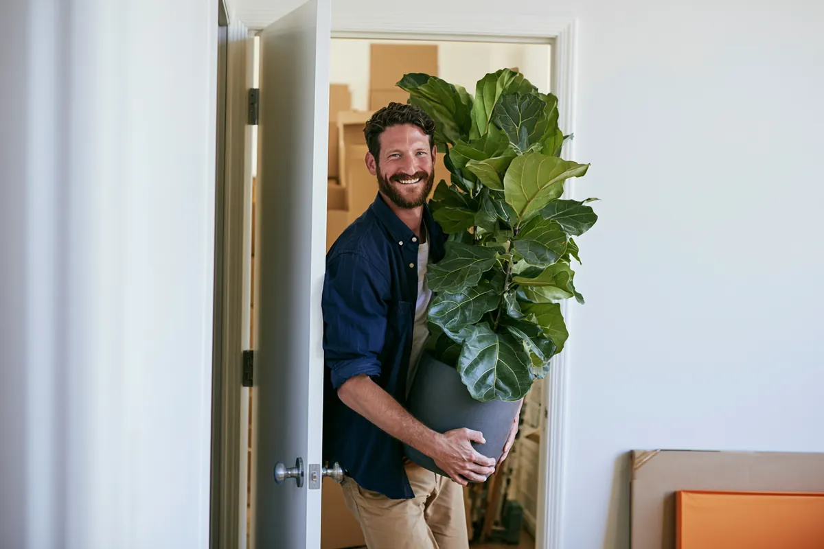 Budgeting for a Local Move: a Four-Week Countdown